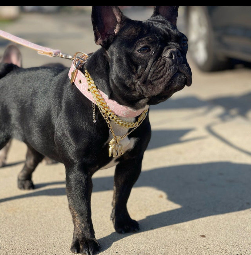 Rosé Radiance Collar - The Classy Canine Collection