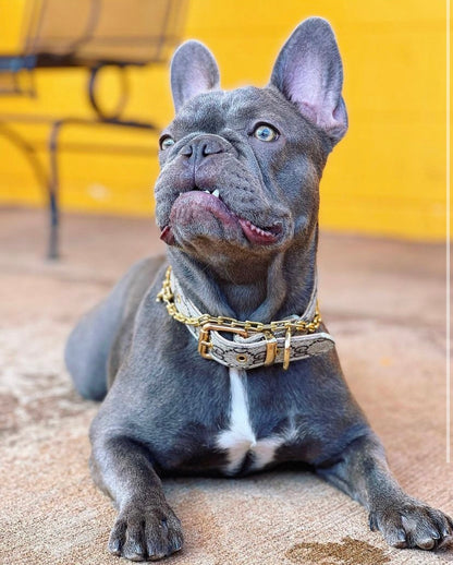 Collar - The "Good Dog" Luxe Collection