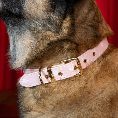 Rosé Radiance Collar - The Classy Canine Collection